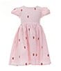 Adventurewear 360 Little Girls Gingham Short Sleeve Strawberry Embroidered Dress, Color:Pink Gingham - Image 1