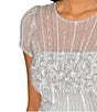 Color:Snow Globe - Image 4 - Beaded Illusion Jewel Neckline Short Sleeve Midi Dress