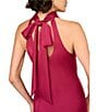 Aidan Mattox Halter Neck Sleeveless Satin Sheath Tie Back Gown, Color:Meritage - Image 4