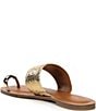 ALDO undefined, 00000000_zi_97fb43d5-555f-45e8-a0ed-3116b7b65267__02_ai - undefined