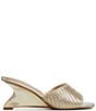 ALDO undefined, 00000000_zi_27121a79-ffb4-49c9-90d2-0e93a24836ae__01_ai - undefined