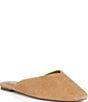 ALDO Women's Aletaa Suede Mules - Image 1