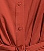 Alex Marie Adriana Collared Long Sleeve Button Front Dress - Image 6