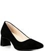 Alex Marie Daphne Suede Block Heel Pumps - Image 1