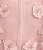 Alex Marie Elise Embroidered Mesh Floral Applique Sleeveless Dress, Color:Blush - Image 3