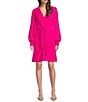 Color:Fuchsia - Image 1 - Paige Georgette Above Knee V-Neck A-Line Dress