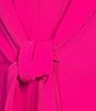 Color:Fuchsia - Image 4 - Paige Georgette Above Knee V-Neck A-Line Dress