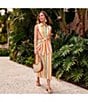 Alex Marie Rommie Stripe Collared Sleeveless Printed Poplin Dress - Image 5
