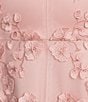 Alex Marie Sienna Embroidered Mesh Floral Applique Sleeveless Dress, Color:Blush - Image 3