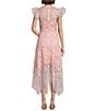 Alex Marie Sienna Embroidered Mesh Floral Applique Sleeveless Dress, Color:Blush - Image 2