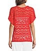 Ali Miles Knit Crochet V-Neck Short Dolman Sleeve Top - Image 2