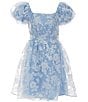 Color:Baby Blue/White - Image 1 - Big Girls 7-16 Bubble Sleeve Burnout Organza Dress