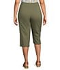 Color:Sage - Image 2 - Plus Size Embroidered Hem Detail Pull-On Straight Capris