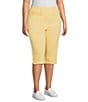 Allison Daley Plus Size Tech Stretch Pull-On Skimmer Pants - Image 1