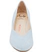 Amalfi Lauda Suede Pointed Toe Pumps - Image 6