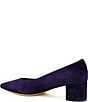 Amalfi Panorama Suede Pointed Toe Block Heel Pumps - Image 2