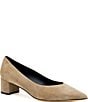 Amalfi Panorama Suede Pointed Toe Block Heel Pumps - Image 1