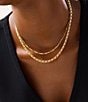 Ana Luisa Hayden Thick Chain Necklace - Image 3