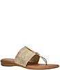 Andre Assous Nice Woven Metallic Stretch Raffia Thong Flat Sandals - Image 1