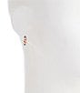 Anna & Ava Americana Stud Earring Set - Image 4