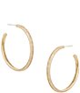 Anna & Ava Waterproof Pave Hoop Earrings - Image 1