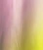 Antonio Melani Fallon Ombre Round Neck Short Sleeve Dress, Color:Peach Floral - Image 3