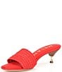 Color:Hibiscus Red - Image 4 - Issla Raffia Kitten Heel Slides