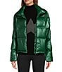Antonio Melani Stand Collar Front Zip Ski Puffer Jacket, Color:Pine - Image 1