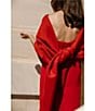 Antonio Melani x Elizabeth Damrich Radziwill Full Length Strapless Crepe Dress, Rouge - Image 18