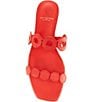 Antonio Melani x Stephanie Covington Aida Leather Double Band Disk Flat Sandals - Image 5