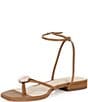 Antonio Melani x Stephanie Covington Erika Leather Ankle Strap Ornamented Thong Flat Sandals - Image 4