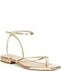 Antonio Melani x Stephanie Covington Mary Leather Ankle Strap Thong Flat Sandals - Image 1