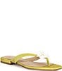 Antonio Melani x Stephanie Covington Rosa Floral Ornamented Flat Sandals - Image 1