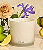 APOTHEKE Canvas 3-Wick Scented Candle, 26 oz. - Image 4