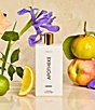 APOTHEKE Canvas Room Spray, 3.4 oz. - Image 2