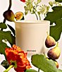 APOTHEKE Fig and Olive 3-Wick Scented Candle, 26 oz. - Image 2