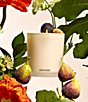 APOTHEKE Fig and Olive Classic Scented Candle, 10.5 oz. - Image 2