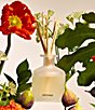 APOTHEKE Fig and Olive Reed Diffuser, 6.7 fl. oz. - Image 2