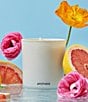 APOTHEKE Sea Salt Grapefruit Classic Candle, 10.5 oz. - Image 3