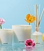 APOTHEKE Sea Salt Grapefruit Reed Diffuser
