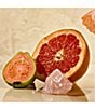 APOTHEKE Sea Salt Grapefruit Room Spray, 3.4 oz. - Image 5