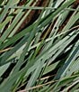 APOTHEKE White Vetiver Room Spray, 3.4 oz. - Image 5