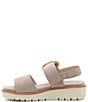 ara Bridgeport Suede Wedge Platform Sandals, Color:BEIGE - Image 4