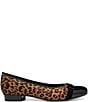 ara Broadway Leopard Print Suede Cap Toe Pumps - Image 2