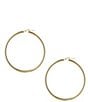 Color:Gold - Image 1 - Large Tubular Hoop Earrings
