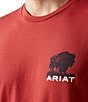Ariat Buffalo Flag Short Sleeve T-Shirt - Image 3