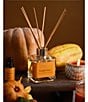 Aromatique Pumpkin Spice Reed Diffuser Set - Image 4