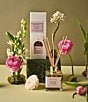 Aromatique The Smell of Spring Reed Diffuser Set - Image 2