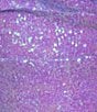 Color:Lilac/Iridescent - Image 4 - Sequin Sweetheart Neck Feather Trim Dress