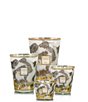 Baobab Collection Aspen Max 16 Candle - Image 2
